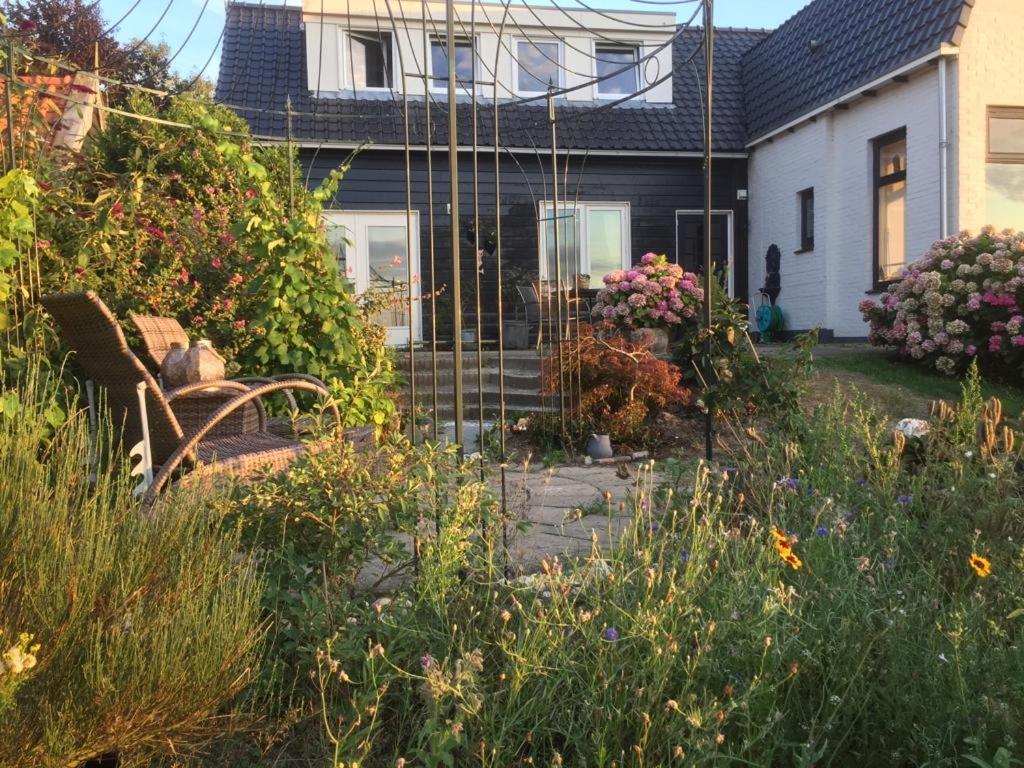 T Huuske Tuinappartement Met Fantastisch Uitzicht, Nabij Zee Zonnemaire Exterior foto