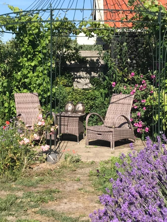 T Huuske Tuinappartement Met Fantastisch Uitzicht, Nabij Zee Zonnemaire Exterior foto