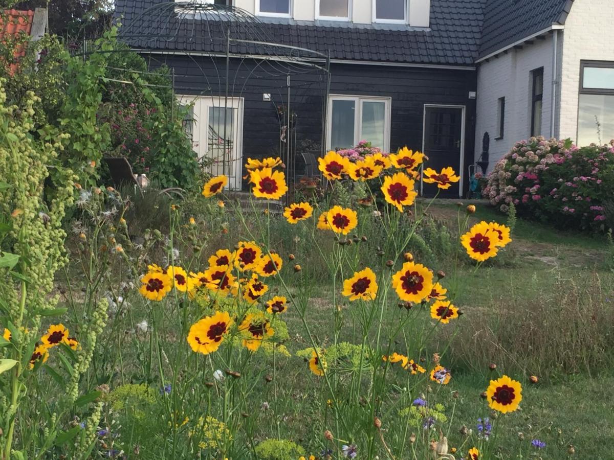 T Huuske Tuinappartement Met Fantastisch Uitzicht, Nabij Zee Zonnemaire Exterior foto